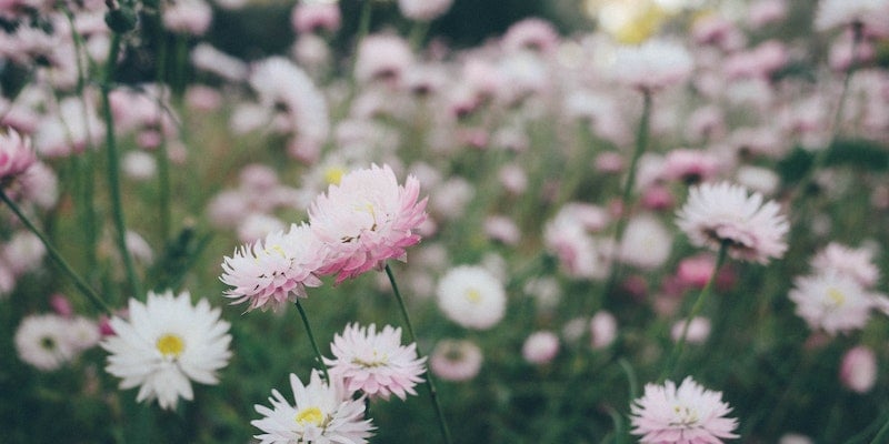 funeral homes in Mooreland IN