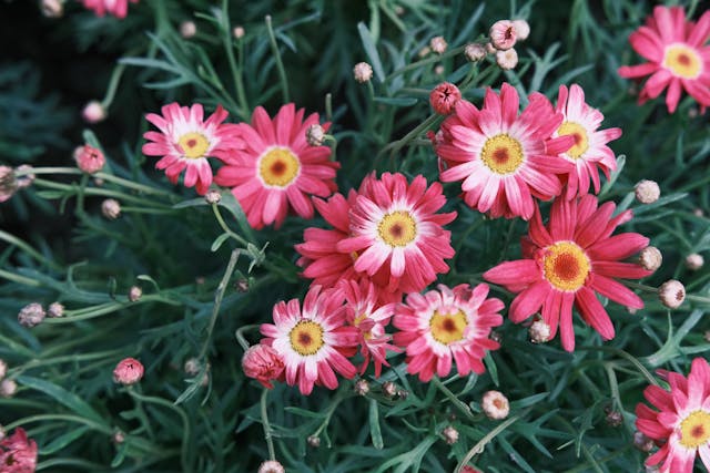 funeral homes New Castle IN