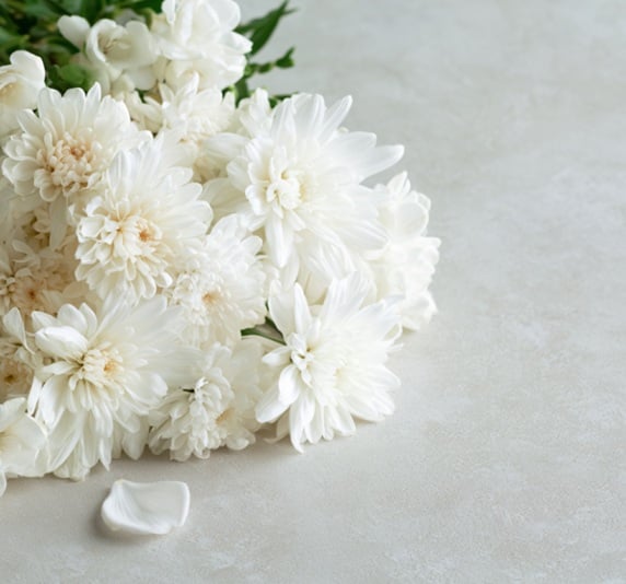 White chrysanthemum flowers arranged as a peaceful funeral tribute display.